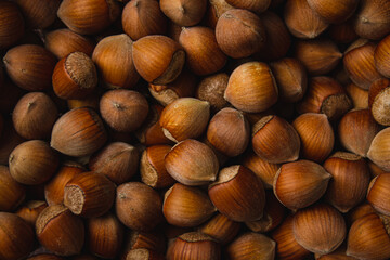 Hazelnut full screen as background