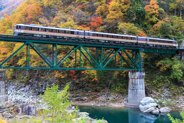 紅葉の第11宮川橋梁を駆け抜ける高山本線の特急列車