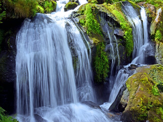 Obraz premium Wandern im Schwarzwald