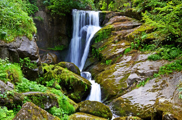 Wandern im Schwarzwald