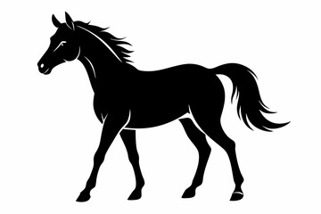 Horse silhouette vector Illustration, Horse Ridding with Black and White