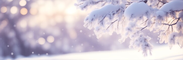 Snow-covered tree branches with delicate bokeh lights and a soft focus background. Winter nature scene
