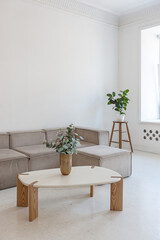 bright interior design of spacious living room with white walls and decorative unique historical moldings on ceiling stylish modern furniture in warm colors without people daylight through the windows