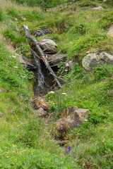 Wandern in den österreichischen Alpen
