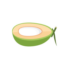 Coconut icon in cartoon style on a white background illustration. Design element illustration of a fresh fruit.