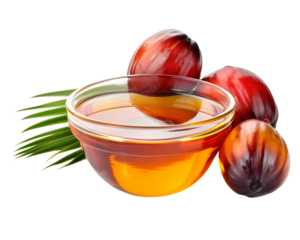 Palm oil with fresh palm nuts on isolated on white background with clipping path