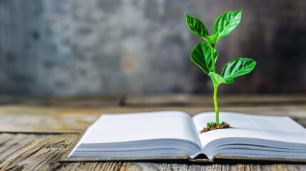 Young green plant growing out of an open book on a wooden table, symbolizing knowledge growth and education.