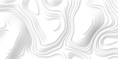 Abstract white paper cut background with lines. Background of the topographic map. White wave paper curved reliefs abstract background. Realistic papercut decoration textured with wavy layers.