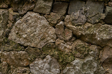 Old stone wall texture with green foliage background pattern