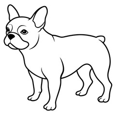 French bulldog line art vector illustration
