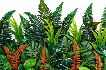 Vibrant Fern Fronds and Exotic Greenery Border on White Background for Lush Jungle Aesthetic