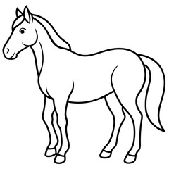 Obraz premium horse illustration