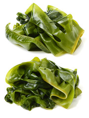 seaweed on a white background