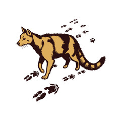 Illustration of a Walking Coyote with Paw Prints