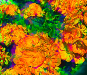 Psychedelic Floral Collage Visual texture in colorful bright colors