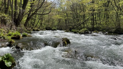 奥入瀬渓流　青森