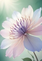 Fototapeta premium Abstract image of a flower in soft pastel colors, flowing, translucent petals with a blend of light pink, blue, and lavender hues, white background, centered composition