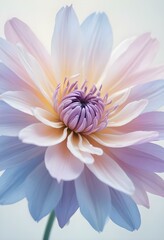 Fototapeta premium Abstract image of a flower in soft pastel colors, flowing, translucent petals with a blend of light pink, blue, and lavender hues, white background, centered composition