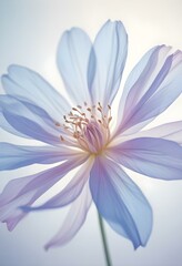 Abstract image of a flower in soft pastel colors, flowing, translucent petals with a blend of light pink, blue, and lavender hues, white background, centered composition