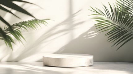 The scene features a premium empty podium set against a sleek minimalist backdrop, illuminated by soft daylight and casting delicate shadows of tropical foliage