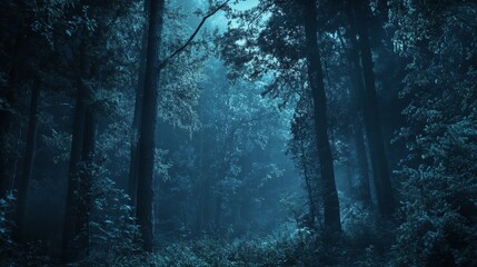 Obraz premium Tall trees rise in a mysterious forest at night, their shadows stretching across the ground as faint moonlight breaks through the canopy, creating an eerie atmosphere