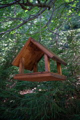 Wooden bird feeder hanging in forest, side view