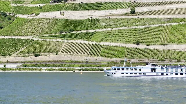 Rhine landscape in the upper Middle Rhine