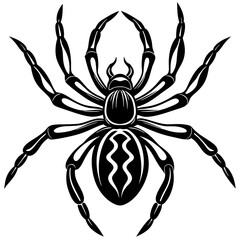 Spider isolated art vector illustration