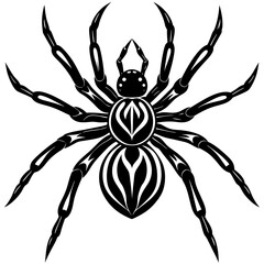 Spider isolated art vector illustration