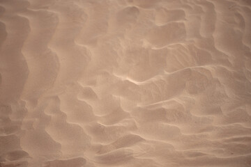 the texture of the sand. sand in the evening. sand close-up