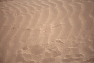 the texture of the sand. sand in the evening. sand close-up