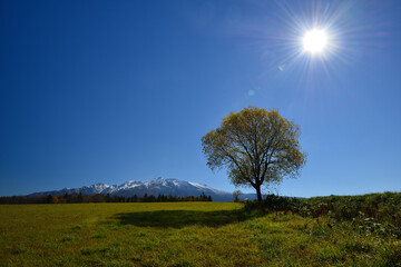 大雪山　北海道　日本/Daisetsuzan, Hokkaido, Japan