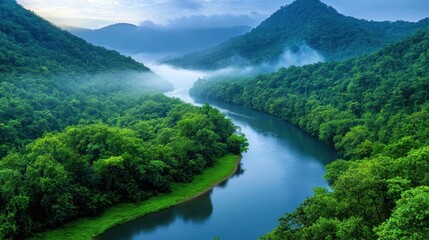 Convergence of two rivers in a dense forest, their waters mingling in the twilight