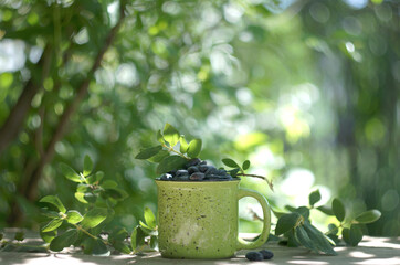 Still life with blue honeysuckle berries in a green mug on a table top in the sunlit summer garden
