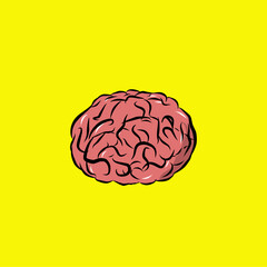 human brain illustration