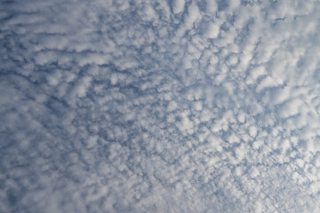 Obraz premium Clouds in the blue sky