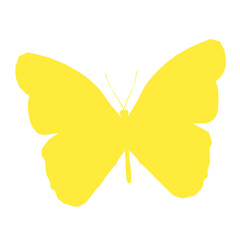 butterfly vector illustration
