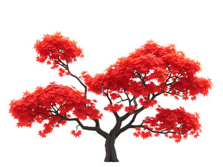 Maple Tree with Red-Orange Leaves on Transparent Background