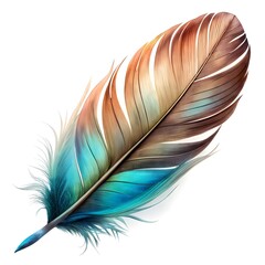 beautiful isolated feather