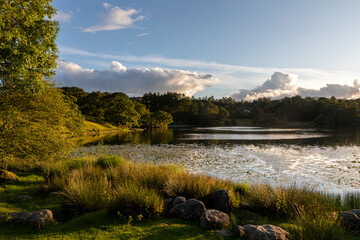 Loughrigg Tarn evening Langdale Lake District Cumbria UK at sunset 