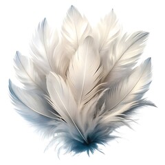 Obraz premium white feathers on a white background