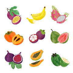Tropical fruits big set. Vector watercolor illustration
