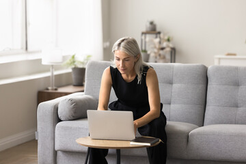 Fototapeta premium Focused serious mature woman working on modern laptop in living room, engaged in workflow at home using modern device, writing letter, e-mailing to client, prepare report or researching in home-office