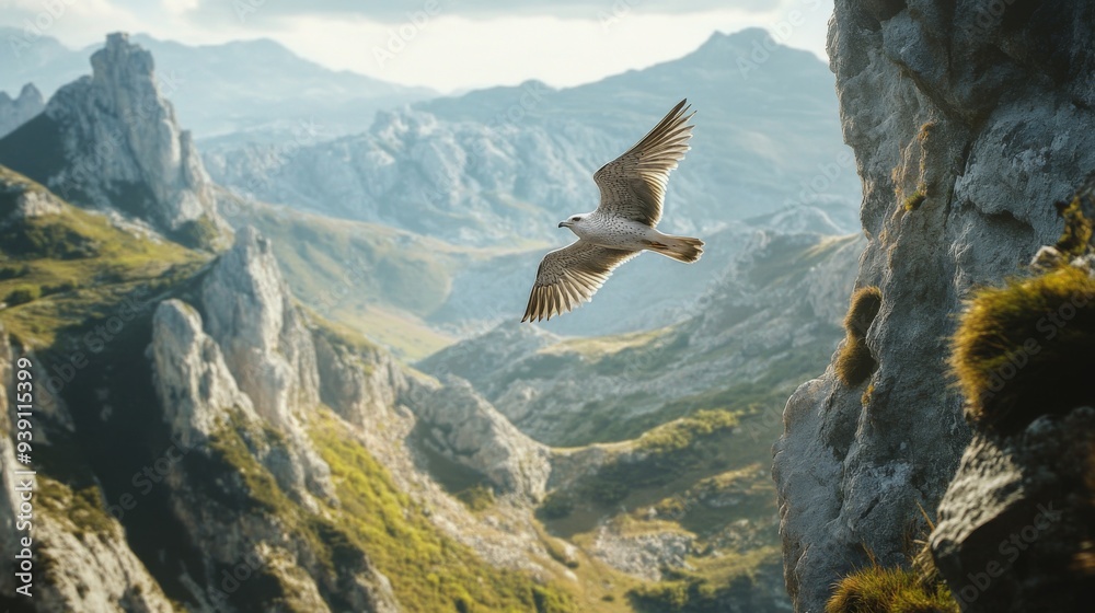 Poster detailed view of a bird gliding close to a mountain range, with clear focus on the bird and rugged l