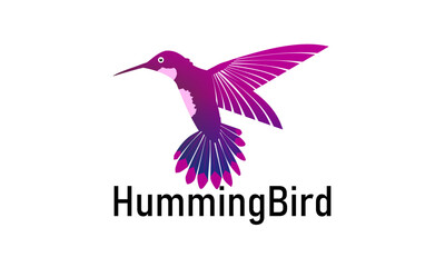 bird, bird logo, hummingbird, hummingbird logo, animal, humming, nature, wildlife,