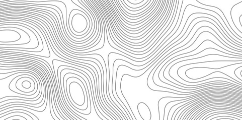 Abstract Topographic Map in Contour Line Light stripes on a white background Geographic Abstract Grid. Line Topography Map Contour Background illustrations of maps