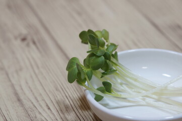 美しいカイワレ大根