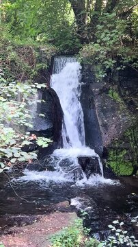Monte Gelato waterfall at the Treja river, Treja natural park, Mazzano Romano, Lazio, Italy