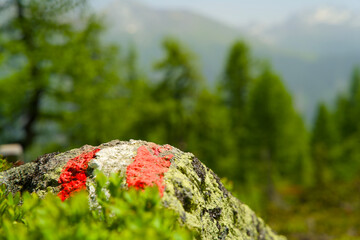 A red-white-red trail painted marker, indicating a hiking route in the Austrian Alps, set against a backdrop of mountain terrain.