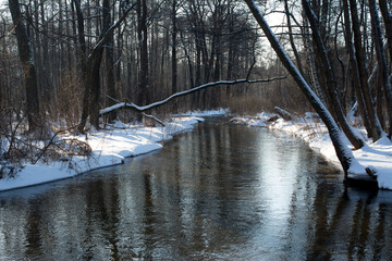 Rzeka przepływająca przez pokryty śniegiem las. Zima. © ChemiQ